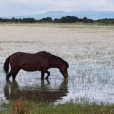Domus De Jara - Casa Montis Baradili