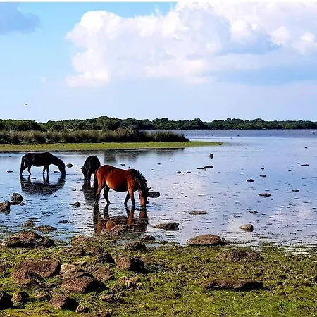 Domus De Jara - Casa Montis Daire